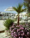 Noria Resort 